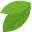 _0